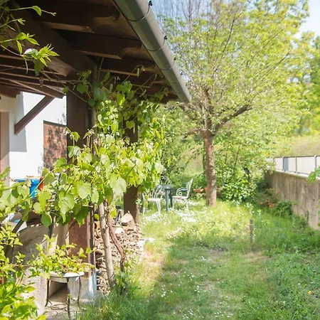 A Due Passi Dal Botteniga 3* Treviso